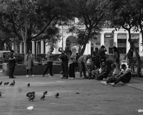 483612024_1168353094665638_451564439695184821_n