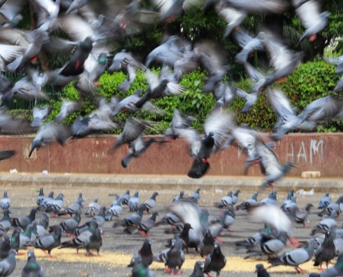 483736624_1168353107998970_2476852754381125484_n