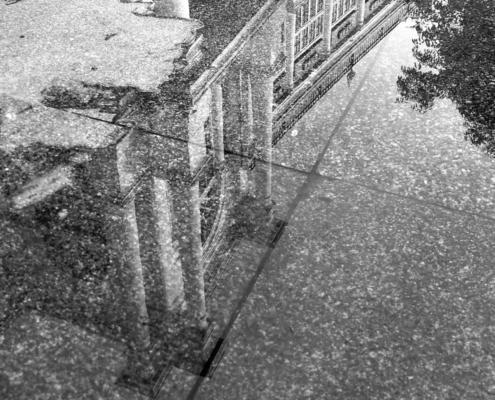 WhatsApp Image 2026-02-15 at 16.27.14